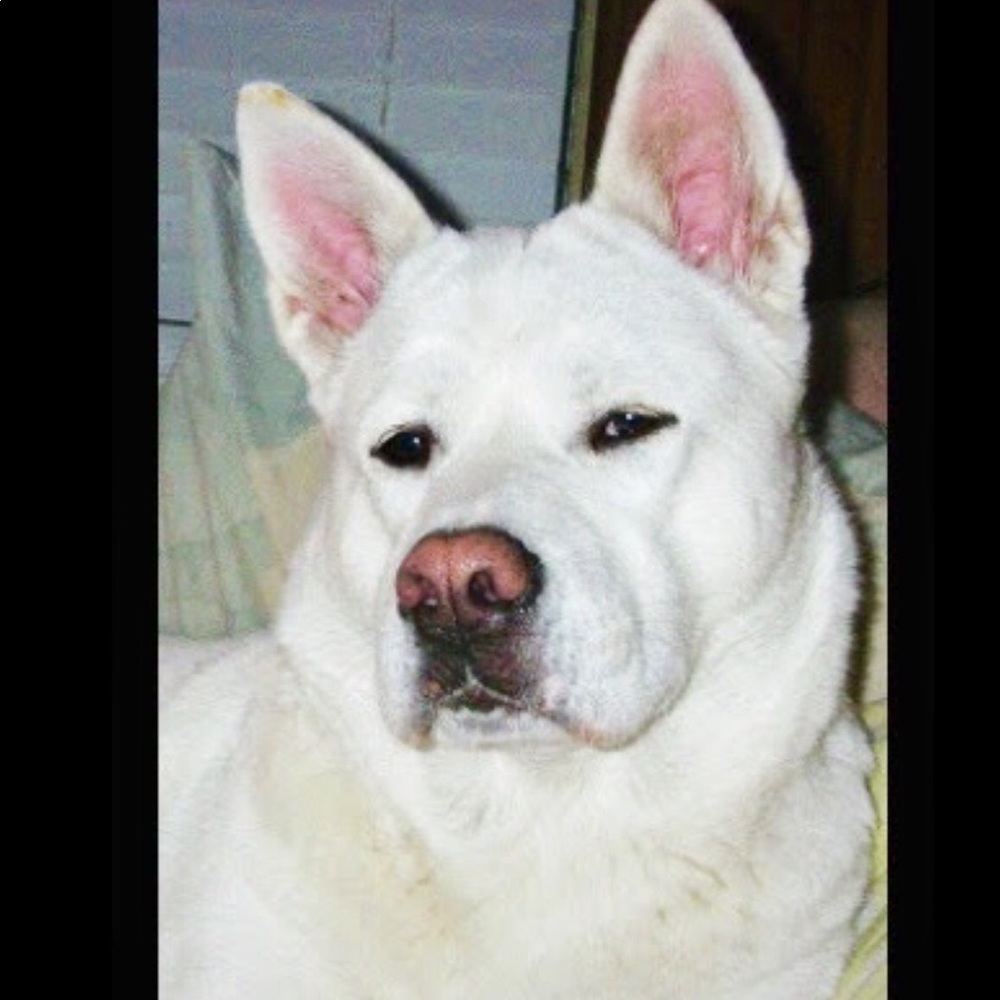 Meet your Posher, Kristina